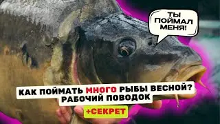 ЭТОТ ПОВОДОК и НАСАДКА ИДЕАЛЬНЫ для ЛОВЛИ КАРПА ВЕСНОЙ!