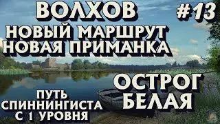 Аккаунт спиннингиста #13 | Новый маршрут + приманка Волхов | Острог Белая | Русская Рыбалка 4