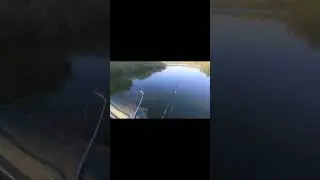 Там кто то попался 