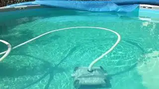 Очистка воды бассейна 1000 рублей за сезон!