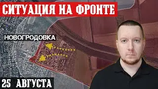 Сводки с фронта: Бои за Новогродовку (Покровск). Ситуация на Торецком направлении. Курская область.