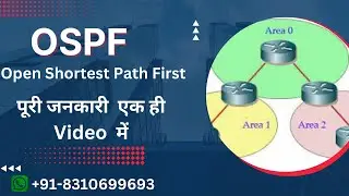 What is OSPF || Network + || OSPF  Full class Live  || full Class  || in Hindi