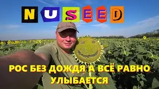 ВИДЫ НА ОСЕННИЙ УРОЖАЙ 2024 / ЧТО БОГ ДАЛ ТОМУ И РАДЫ / ЭТО ВАМ НЕ ЭТО И ДАЖЕ НЕ ТО )))