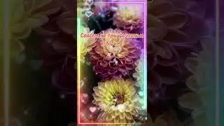 Короткие Поздравления  С Днем Рождения Женщине 🎉 Пусть будет у тебя всего в достатке  
