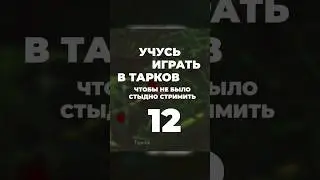 Рекомендации для новичков в пати #тарков #escapefromtarkov #tarkov #игры #eft