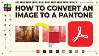 How to Convert a CMYK Image to a PANTONE in Adobe Acrobat Pro