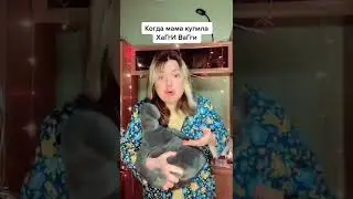Когда попросил маму купить Хаги Ваги