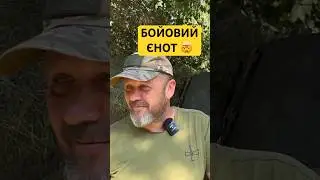 ВОЮЄ «ЗАКОРДОНОМ»?😳