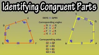 How To Determine Corresponding Angles And Sides, Identifying Congruent Parts Of Figures Explained