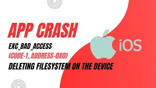 Flutter Error only for iOS - Deleting filesystem on the device, EXC_BAD_ACCESS (code-1, address-0x0)