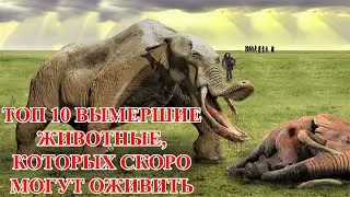 Топ 10 вымершие животные, которых скоро могут оживить