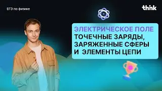 Колыхнем электрическим полем ? ЕГЭ по Физике