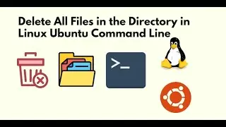 Remove All Files in Directory Linux Command Line
