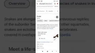 Google trick 9