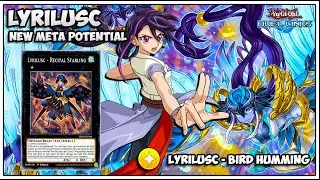 LYLRILUSC New Meta Potential - Broken Untargetable Direct Attack [ Yu-Gi-Oh Duel Links ]