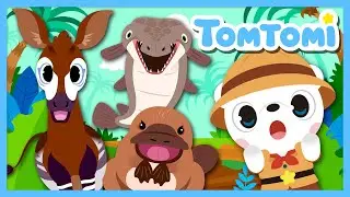 Unusual Hybrid Creatures❓❗ | We are unexpected half-and-half animals!😲 | Animal Song | TOMTOMI