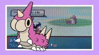 LIVE!!! Shiny Wurmple after 2576 REs! (+ Evolutions)