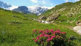 Nature | Mountains | Snow | Waterfalls | Free HD Videos - No Copyright footage