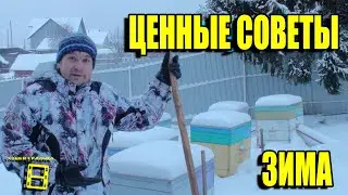 ЗИМНИЕ РАБОТЫ НА ПАСЕКЕ, ПОЛЕЗНЫЕ СОВЕТЫ. СНЕГ - ЛУЧШИЙ УТЕПЛИТЕЛЬ ДЛЯ УЛЬЕВ