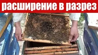 Расширение гнезда пчел в разрез и на край. Средней силы семья.