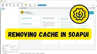 How to Remove Cache in SOAPUI ?