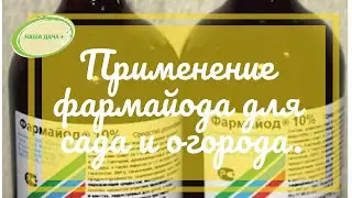 Фармайод. Лучшая дезинфекция. Защита от болезней и вирусов растений. Повышение иммунитета растений.