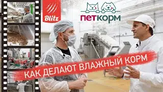 Эксклюзив! Как делают влажный корм для кошек и собак Blitz | Обзор завода ПетКорм