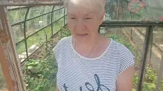 Рассказываю о пользе горячей травы, для мульчирования растений