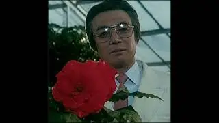 Scorpion violente - The Rapist