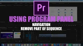 Using the Program Panel | Remove part of sequence | Adobe Premiere Pro Tutorial