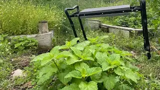 Texas Permaculture Garden | Herb Harvesting | Chickens In The Garden