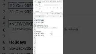 Excel: How many working days left in the year