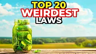 Law and DISORDER: The Weirdest Laws Across America!