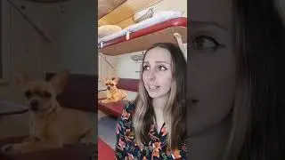 Яжемать в поезде 
