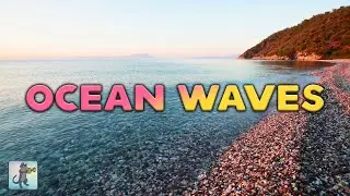 10 Hours of Ocean Waves ~ Relaxing Ocean Sounds & Gentle Crashing Waves (NO MUSIC)