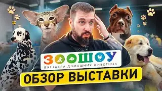 Самая масштабная выставка животных Санкт-Петербурга | ЗООШОУ ЗИМА 2023