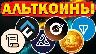 🚀 Альткоины которые дадут иксы! Разбор монет: SCR SCROLL TON TONCOIN CFX CONFLUX HMSTR 5IRE Gravity