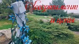 Садовый центр сакура днепр