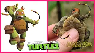 🐢 Teenage Mutant Ninja Turtles In Real Life 💥 All Characters 👉