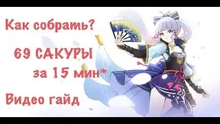 Цвет Сакуры, маршрут сбора сакуры гайд Инадзума | GENSHIN IMPACT