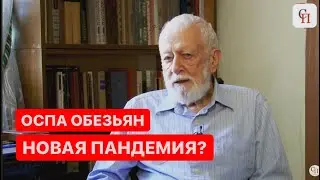 ЧТО ТАКОЕ ОСПА ОБЕЗЬЯН? Станет ли она «вторым ковидом» для планеты? Вирусолог Анатолий Альтштейн