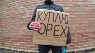 Сколько можно заработать покупая грецкий орех?
