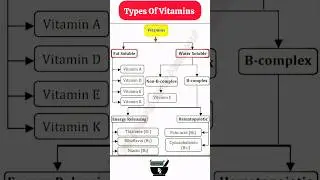 Types of Vitamins ll A Flow Chart ll