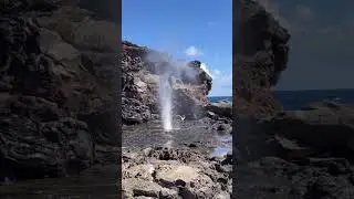 The best scenery in Hawaii from my vacation! 🌺 #shorts #travel