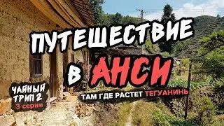 Путешествие в Анси на чайные плантации. Там где растет Тегуанинь. Южный Фуцзянь / Чайный трип 2