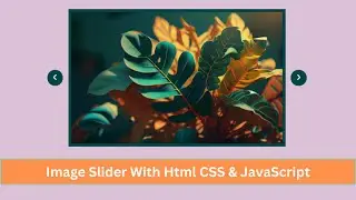 Image Slider html and css | With Auto play & Manual Navigation Button | owl carousel