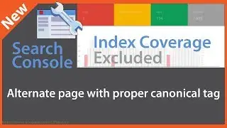 Alternate page with proper canonical tag - Google Search Console Index Coverage