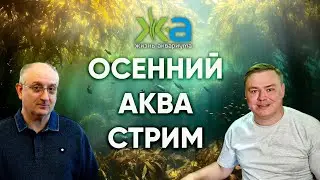 Осенний стрим по аквариумистике с Александром Ершовым
