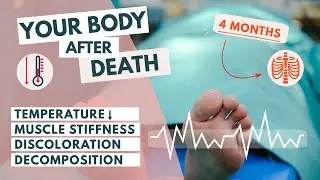 What happens to our bodies after death? | End-of-Life care