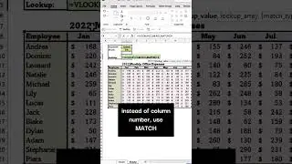 Make your VLOOKUP function pack more of a punch in Excel || Add another function for dynamic Look Up
